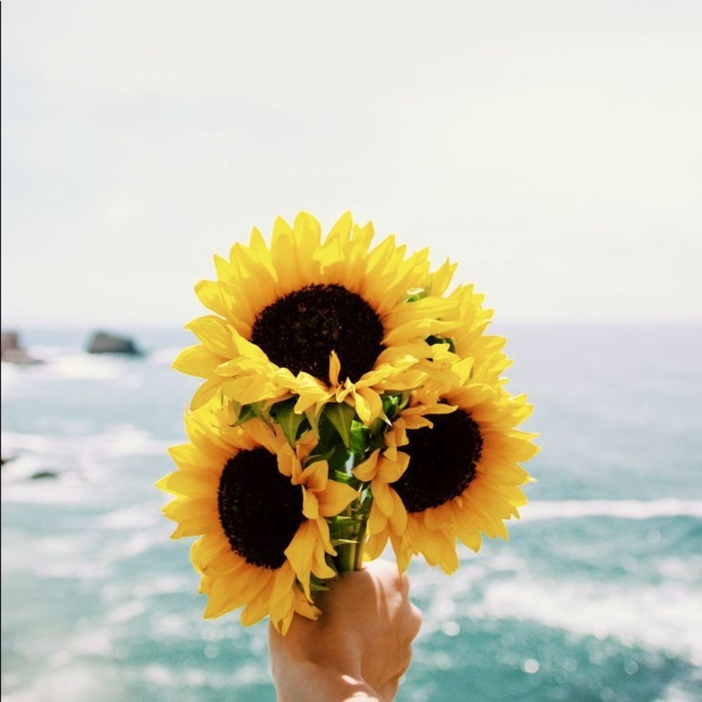 Meet your Posher, Natalka